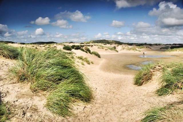 Wandelen met de boswachter